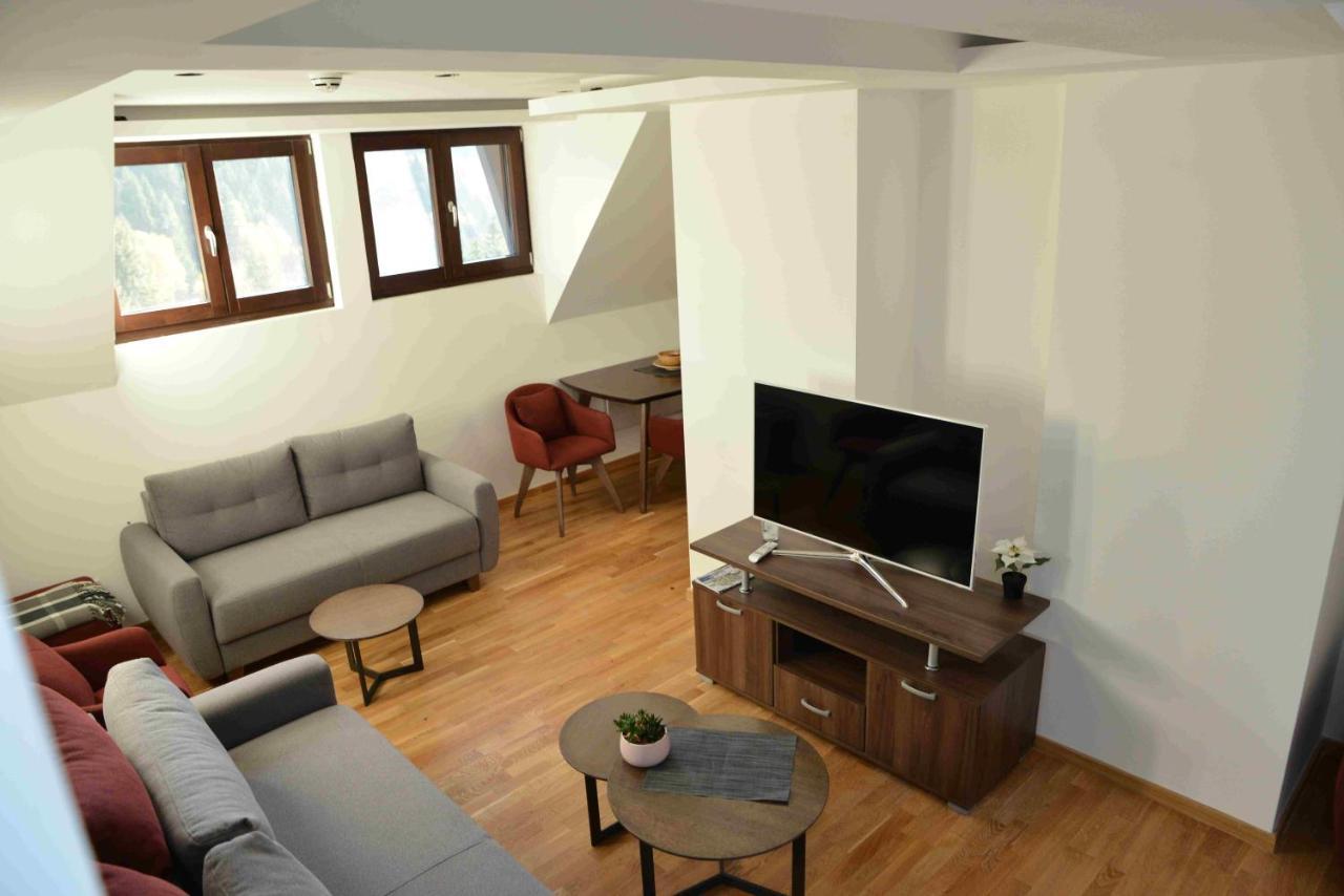 Vila Irina Kopaonik Ngoại thất bức ảnh