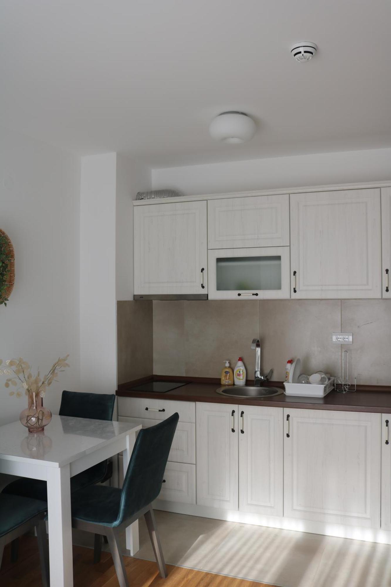 Vila Irina Kopaonik Phòng bức ảnh